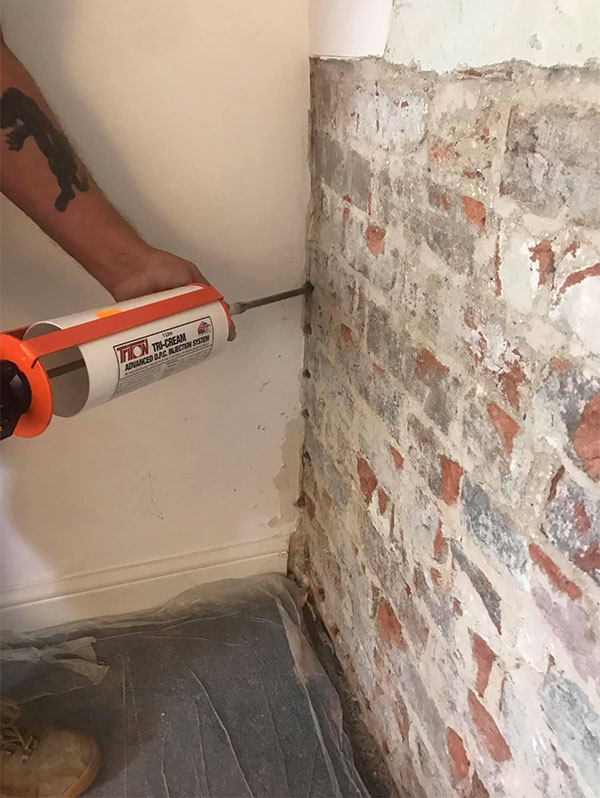 Cellar Conversions and Damp proofing Cellars in Norwich and Norfolk